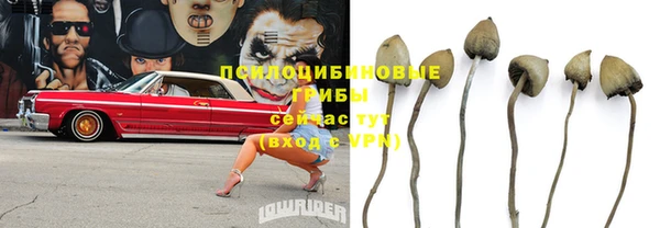 ГАЛЛЮЦИНОГЕННЫЕ ГРИБЫ Елабуга